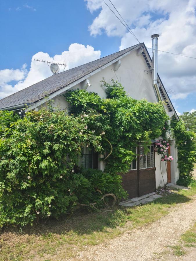 "Gite Les Glycines" Linge Inclus Proche Centre-Ville Blois Exterior photo